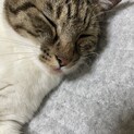 里親様募集中です。