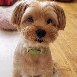 元気いっぱい！活発な男の子♪ヴィンくん