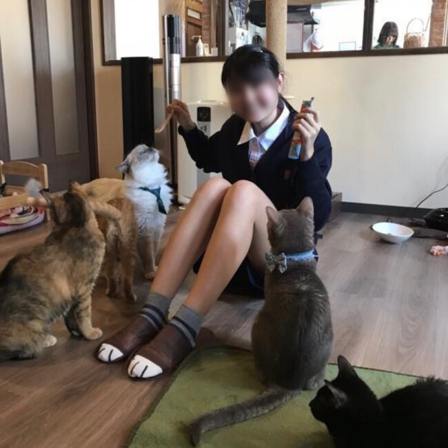 たっちゃぽんのカバー写真
