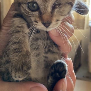 ハンデにめげず、けなげに生きるスカイちゃん♡