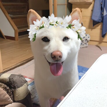 の写真
