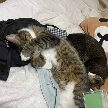 ひが明るすぎるわ