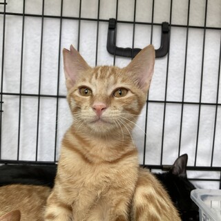 おっとり男子のヒロシ君