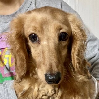 平川（ひらかわ）控えめの甘えん坊さん❤