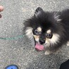 ひろざね