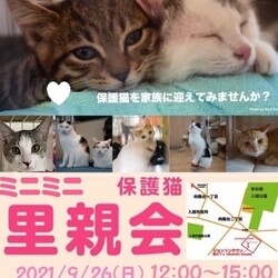 ジョンソンタウン内犬猫譲渡会