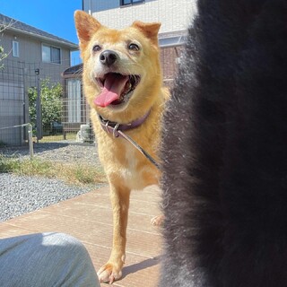  ニコニコセリナちゃん♪