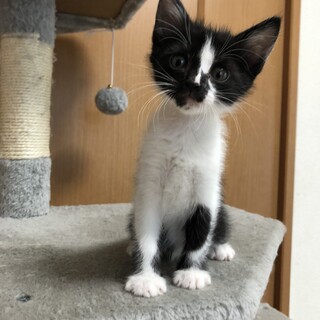 ありがとうございました★可愛い　たけまるくん