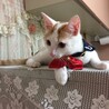 める0524さん