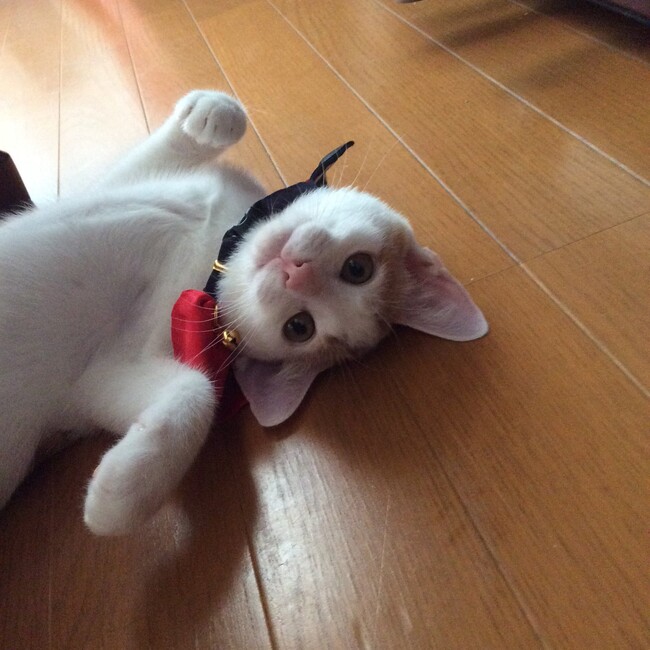 める0524のカバー写真