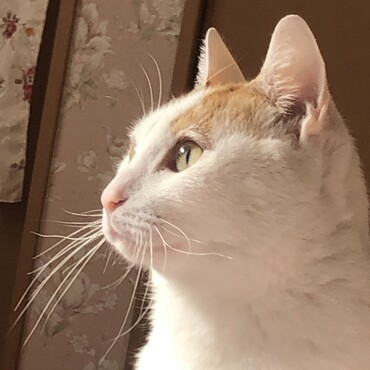 の写真
