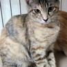 面倒見のいいお姉さん♫ムギチャちゃん