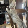 ながっ。