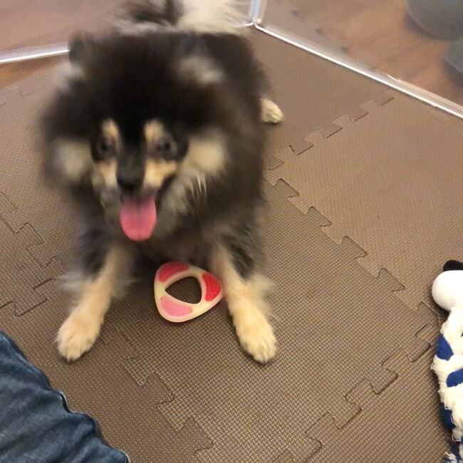 ひろざねのカバー写真