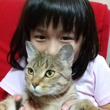 の写真