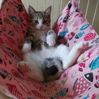 美人な顔立ちのまひるちゃん