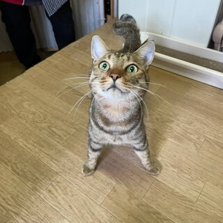 スリスリ甘えん坊の男の子