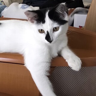 瞳がキュルキュルな女の子☆