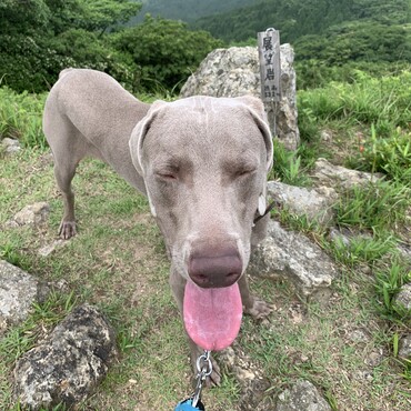 初登山