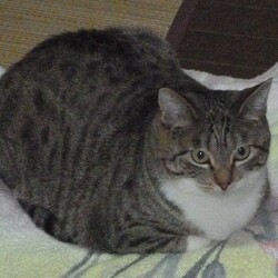 「近所迷惑⁉」サムネイル2