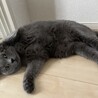 いつもリラックスしてます。