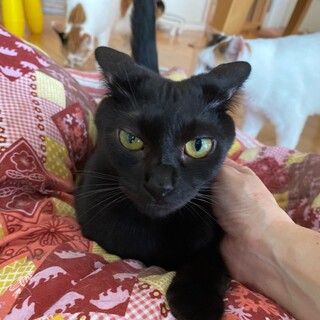 ボク、とっても甘えん坊だよ♡2歳児の三郎くん♬