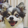 つきまる