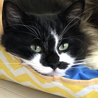 のぞみ/希(のんちゃん)