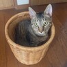 の写真