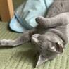 サンちゃん