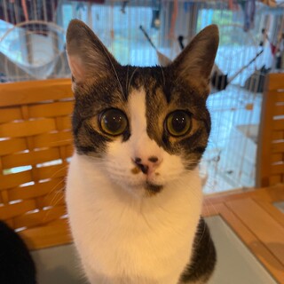 ちょっぴりシャイだけど甘えん坊だよ♡2歳児のゆう君