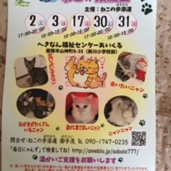 保護猫の譲渡会（ねこの歩添道さんの主催の譲渡会）