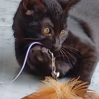 元気いっぱいのカノア君です！