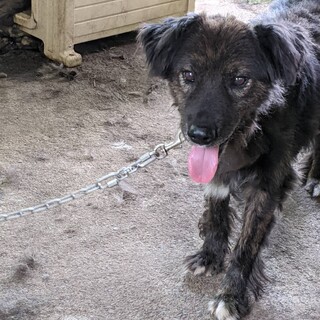 雹くん☆元気な人懐っこい子