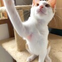 ✩｡* 性格良すぎのキラくん*｡✩