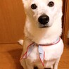 K1nakongさん