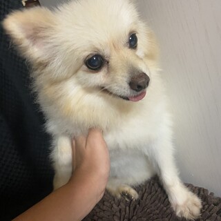 応募多数のため募集を締切ました。