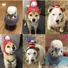 ユニット