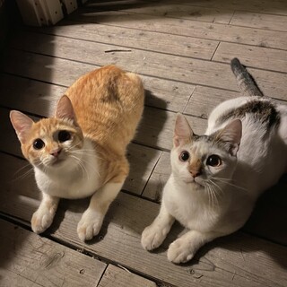 仲良し兄妹♪