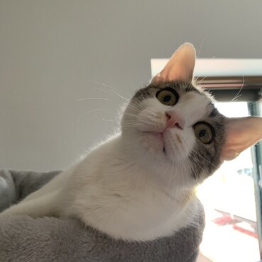 の写真