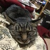 たかださん