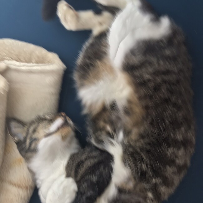 たかださんのカバー写真