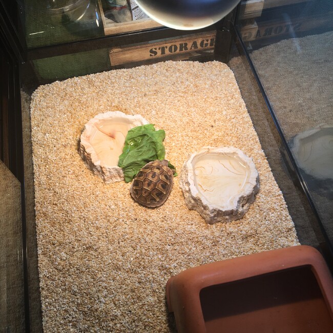 今Pのカバー写真