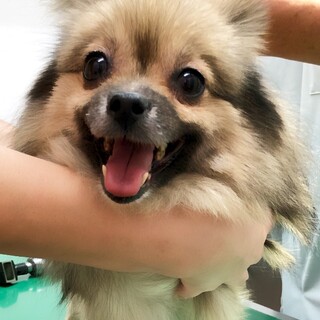 ありがとうございました。