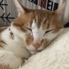 ねむねむ