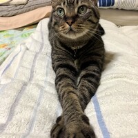 ポンズ