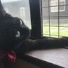 らいか。