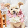 ぽろお