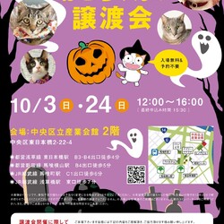 ねこざんまい譲渡会@東日本橋