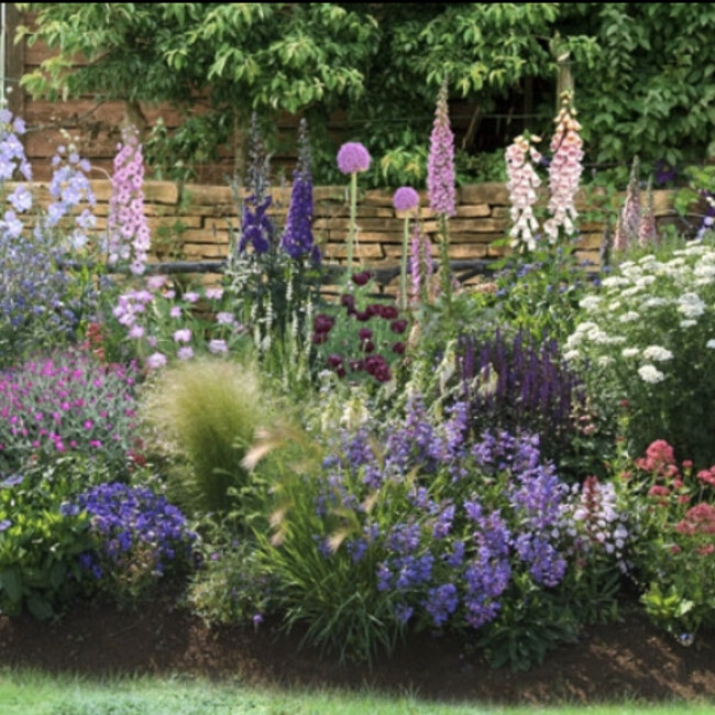 モリモリホームのカバー写真